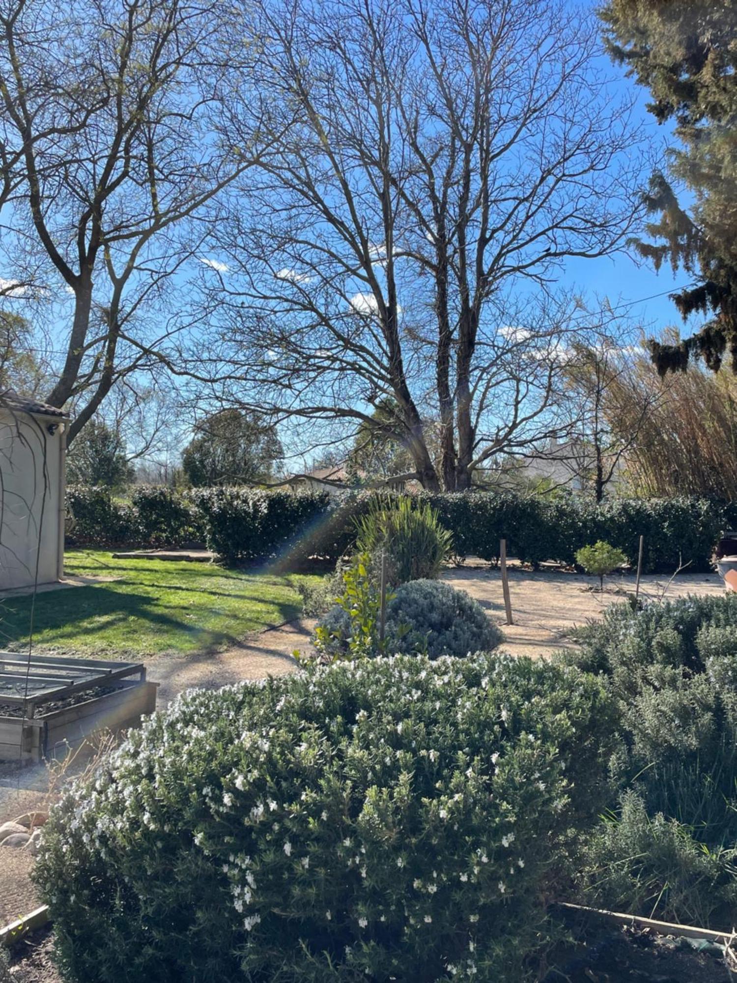 Arles Campagne Location "La Campagn'Arles" Bed & Breakfast ภายนอก รูปภาพ