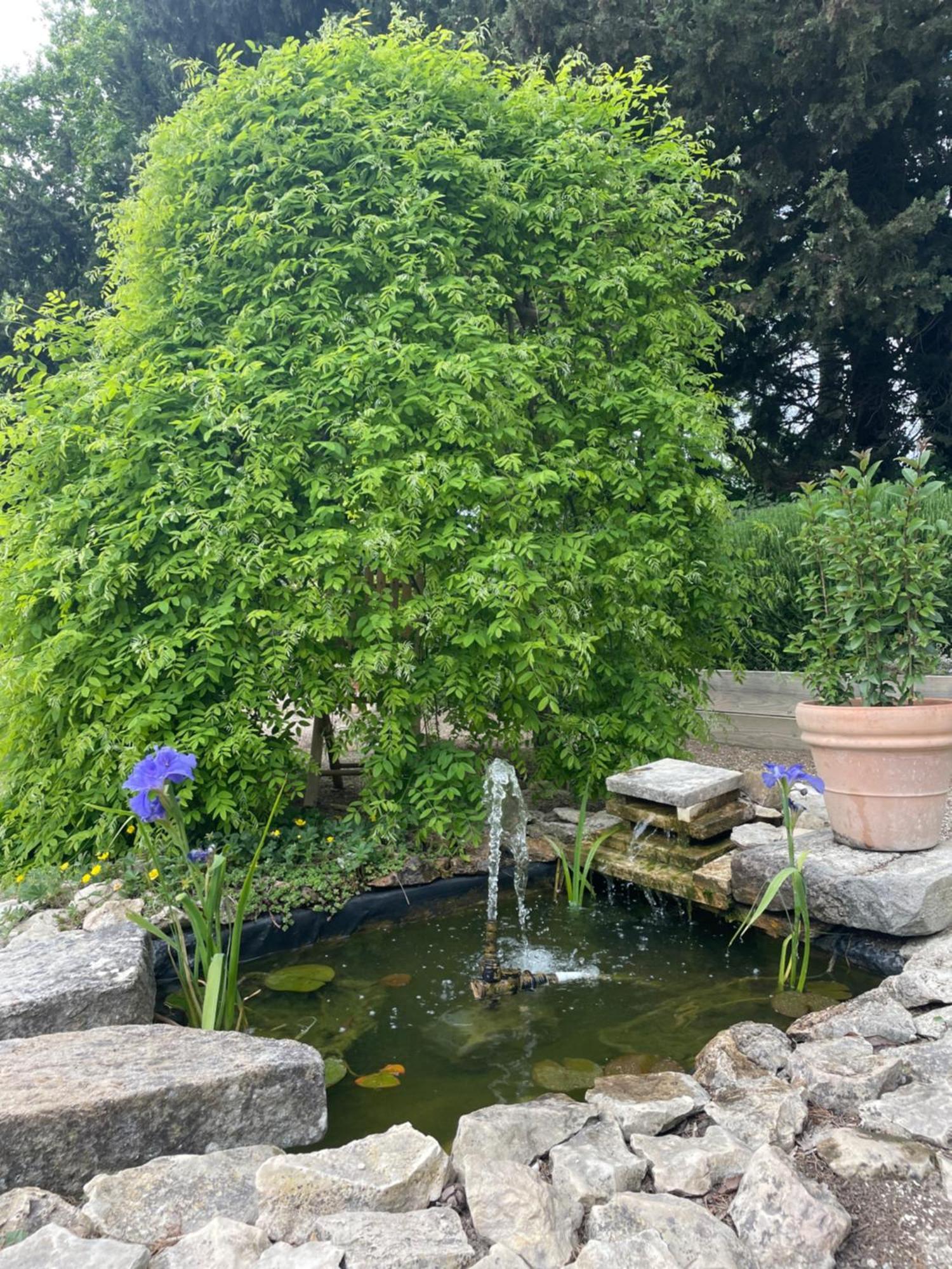 Arles Campagne Location "La Campagn'Arles" Bed & Breakfast ภายนอก รูปภาพ
